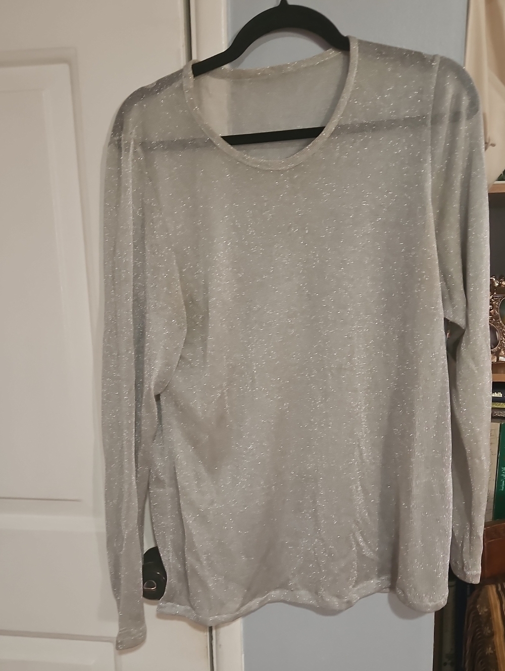Sparkle Sheer Long-Sleeve Top - Silver